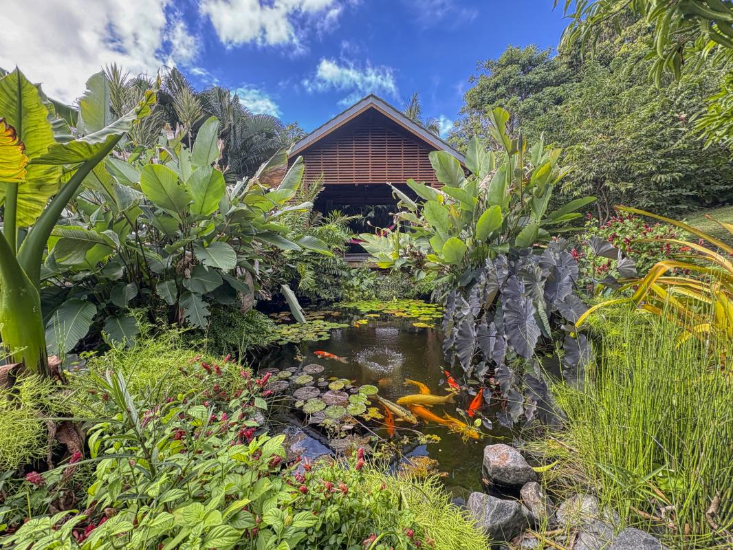 52.location villa piscine Saint François Guadeloupe_Carbet